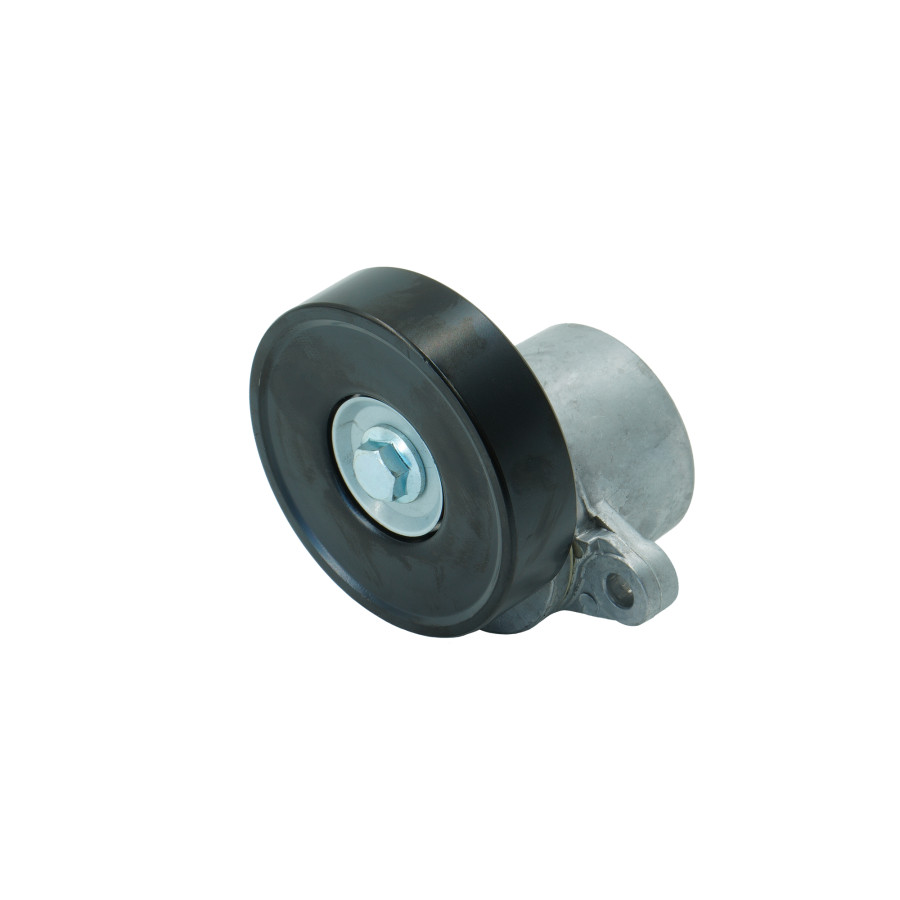 XXXBEN Tendeur de courroie d'accessoires Suzuki Santana Vitara 2.0 i 16 soupapes