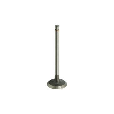 copy of 1.3L Intake valve, 16 valves