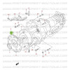 Vis de volant moteur 1.6i Vitara automatique