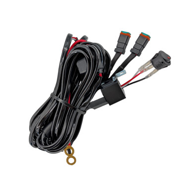 Kit di cablaggio DT Plug a 2 pin per 2 lampade