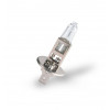 Ampoule H1