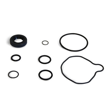 Watertightness kit, power steering pump, Suzuki Santana Samurai, 413