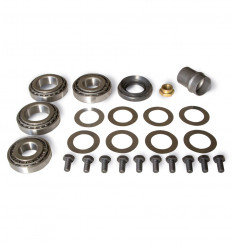 Differential carrier roller bearing kit