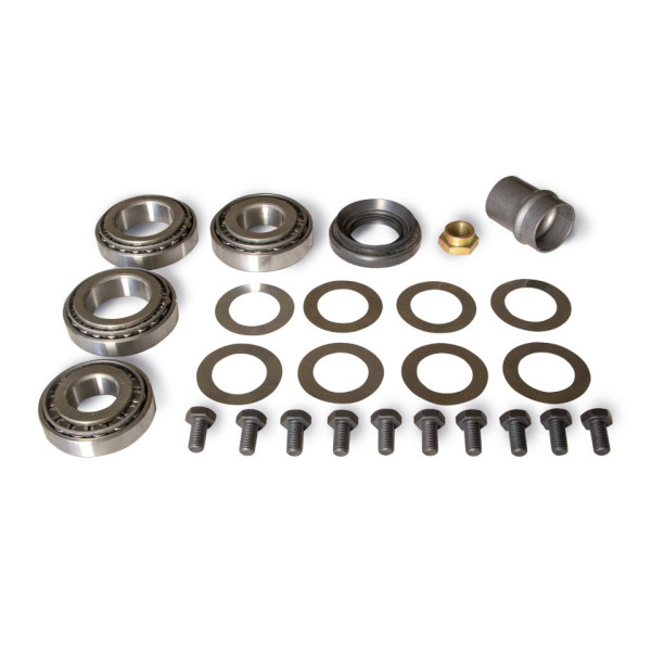 Differential carrier roller bearing kit