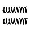 2 standard +4cm front springs Jimny 2018-