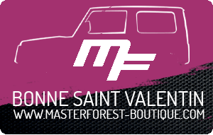 
			                        			Saint-Valentin